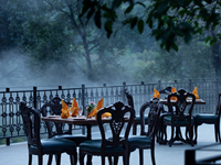 Falcon Tours and Travels